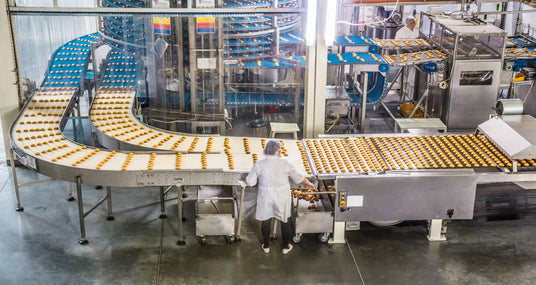 A worker in a white lab coat stands beside a large industrial food processing line with conveyor belts carrying rows of small yellow-orange items in a stainless steel factory.