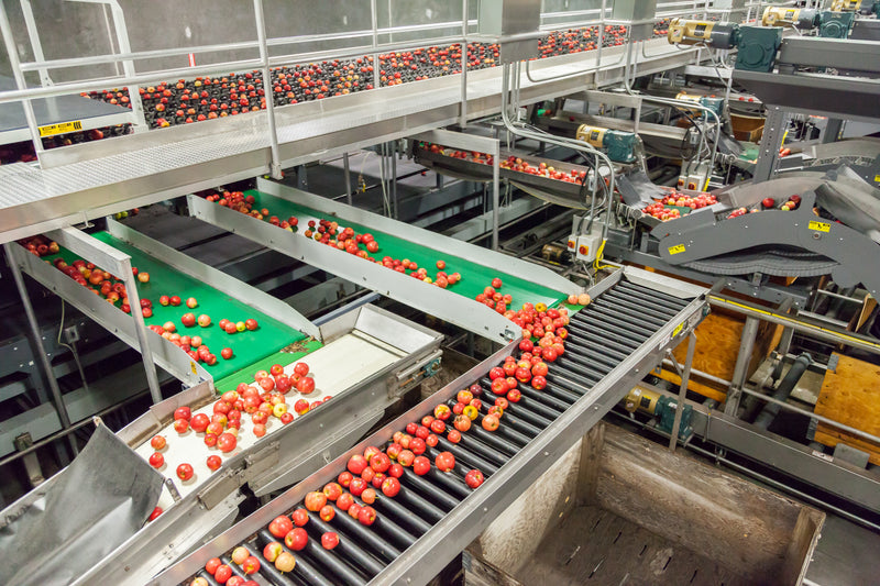 Red apples being processed on conveyor belts inside a large industrial farm or sorting facility.