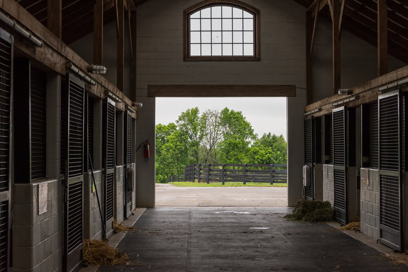 Horse stable with multiple stall doors and open door into green pasture.